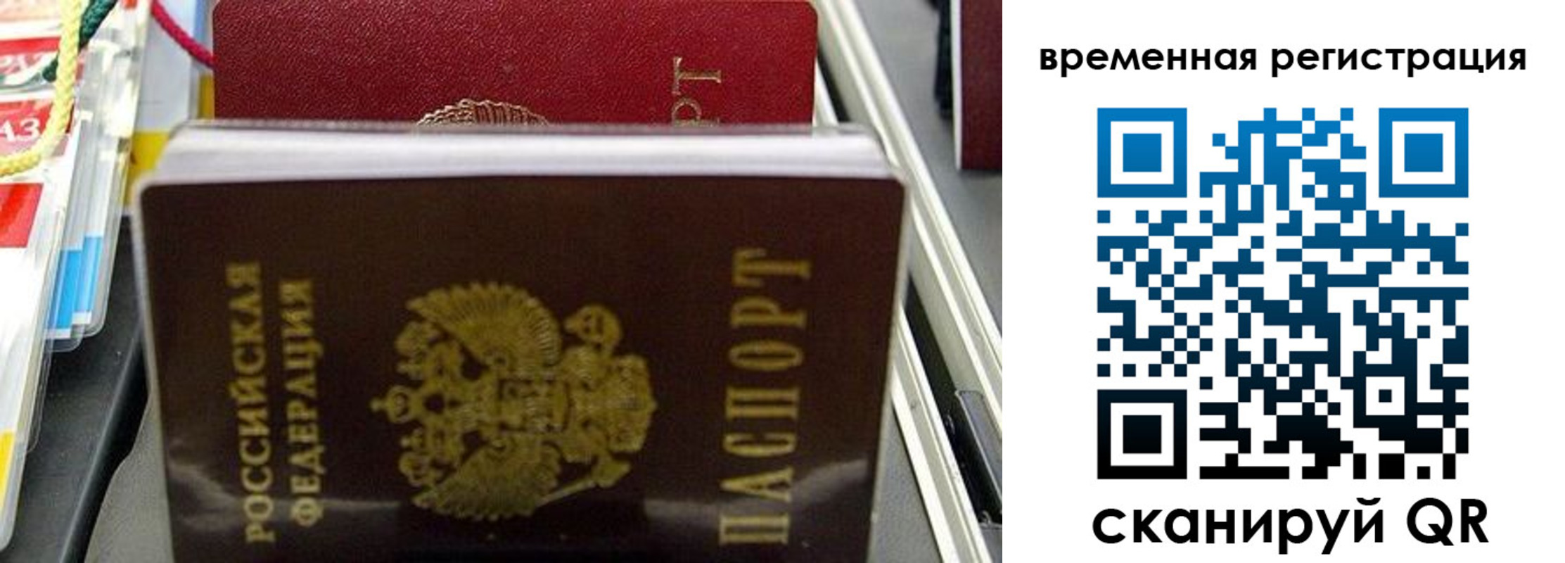 прописка законно в Зернограде
